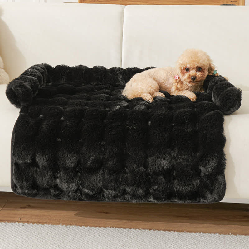 Ownkoti Solid Plush Pet Sofa Bed