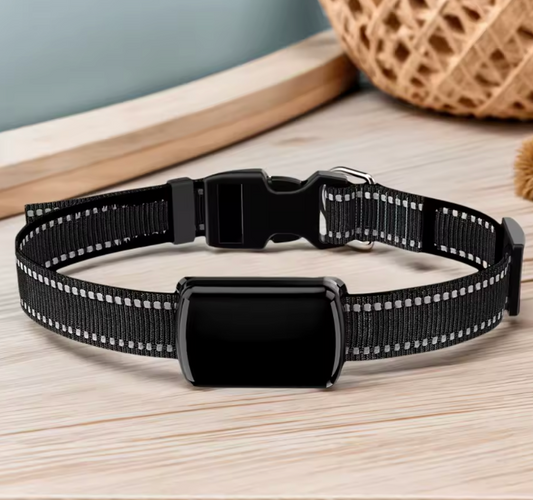 Smart collar - By Dog Supply