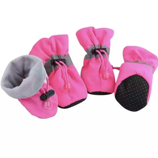 Winter Paw Protection – Paw Walks