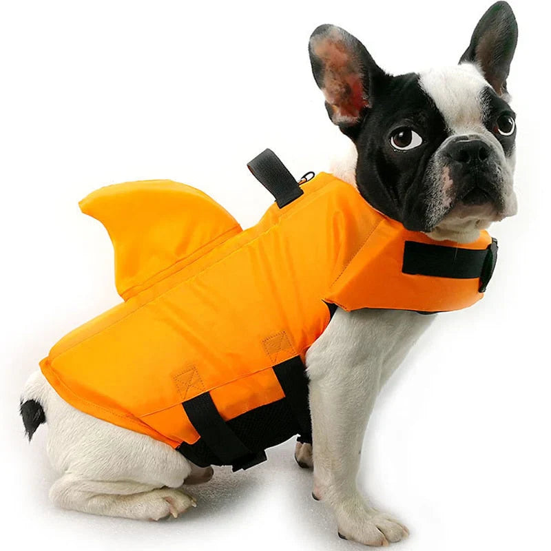 Safe Swimming Fun for Your Dog – SwimBuddy Life Jacket