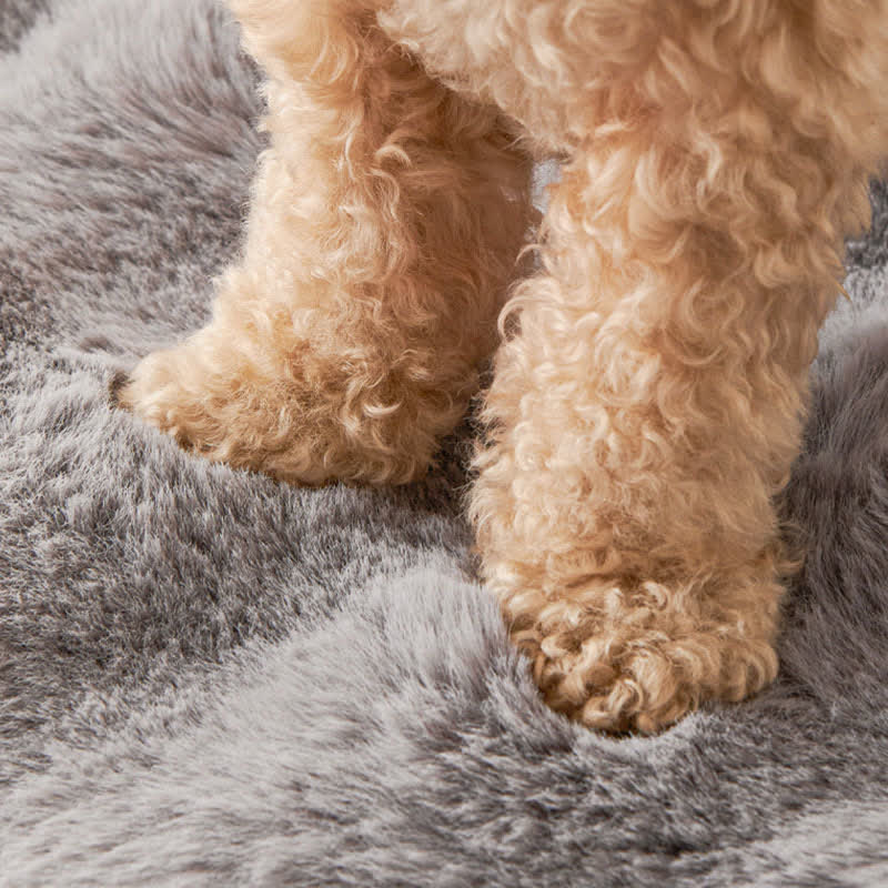 Ownkoti Solid Plush Pet Sofa Bed