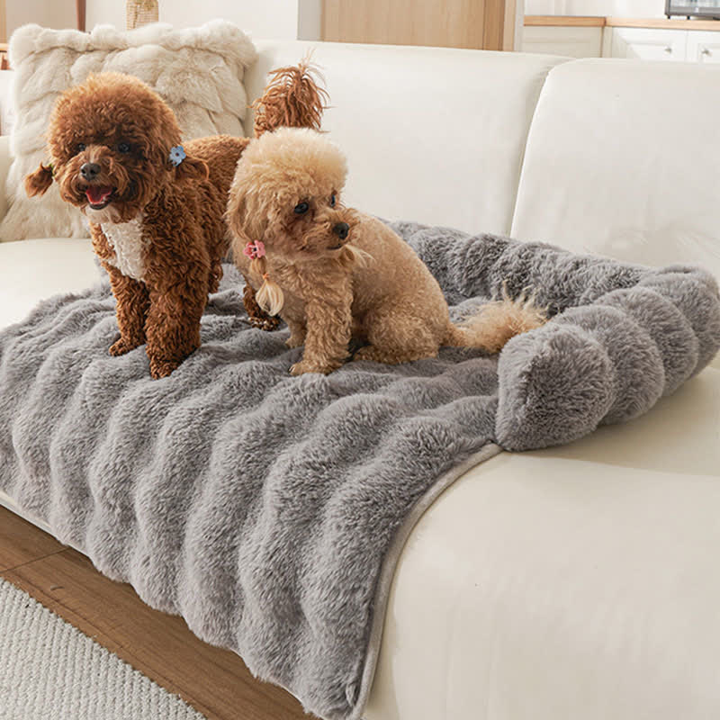 Ownkoti Solid Plush Pet Sofa Bed