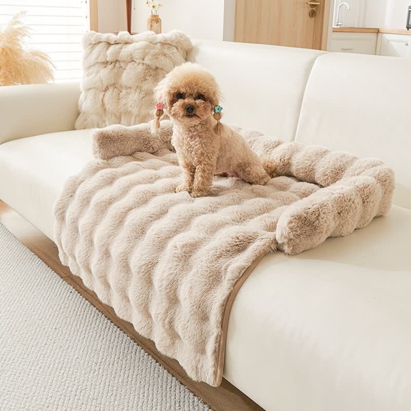 Ownkoti Solid Plush Pet Sofa Bed