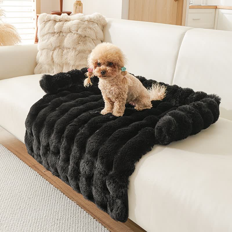 Ownkoti Solid Plush Pet Sofa Bed