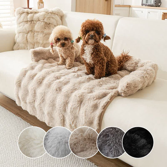 Ownkoti Solid Plush Pet Sofa Bed