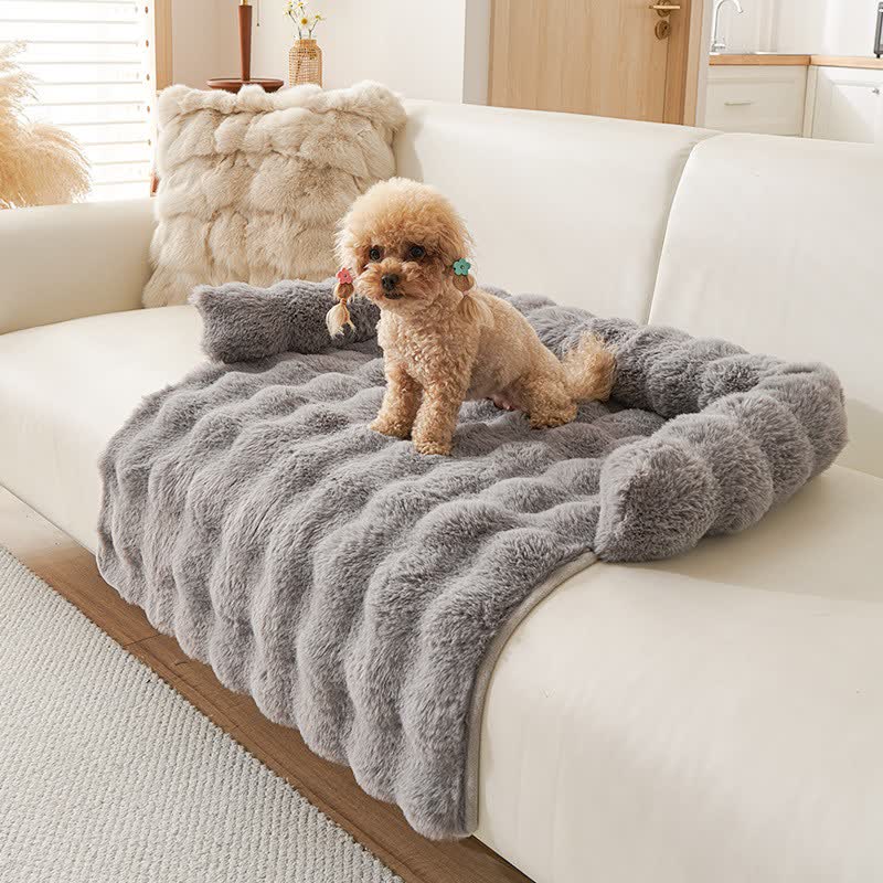 Ownkoti Solid Plush Pet Sofa Bed