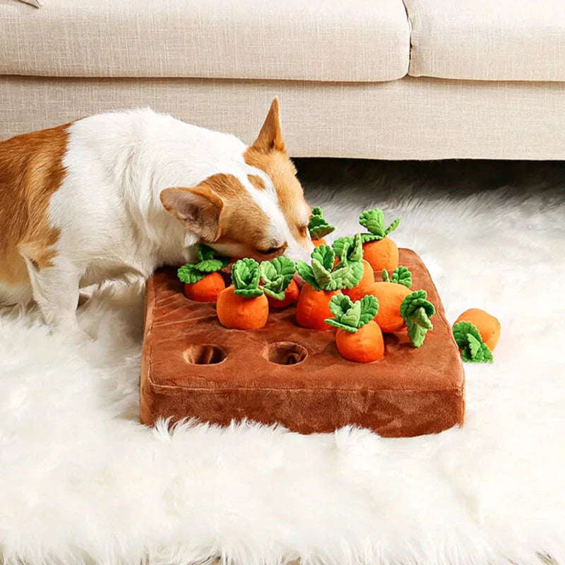 Interactive Sniffing Toy – Carrot Sniffing Garden