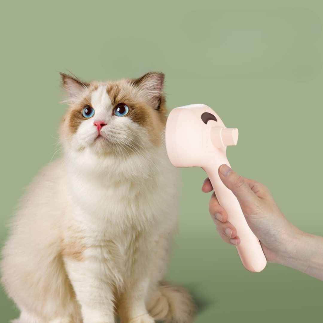 Premium pet brush with steam function