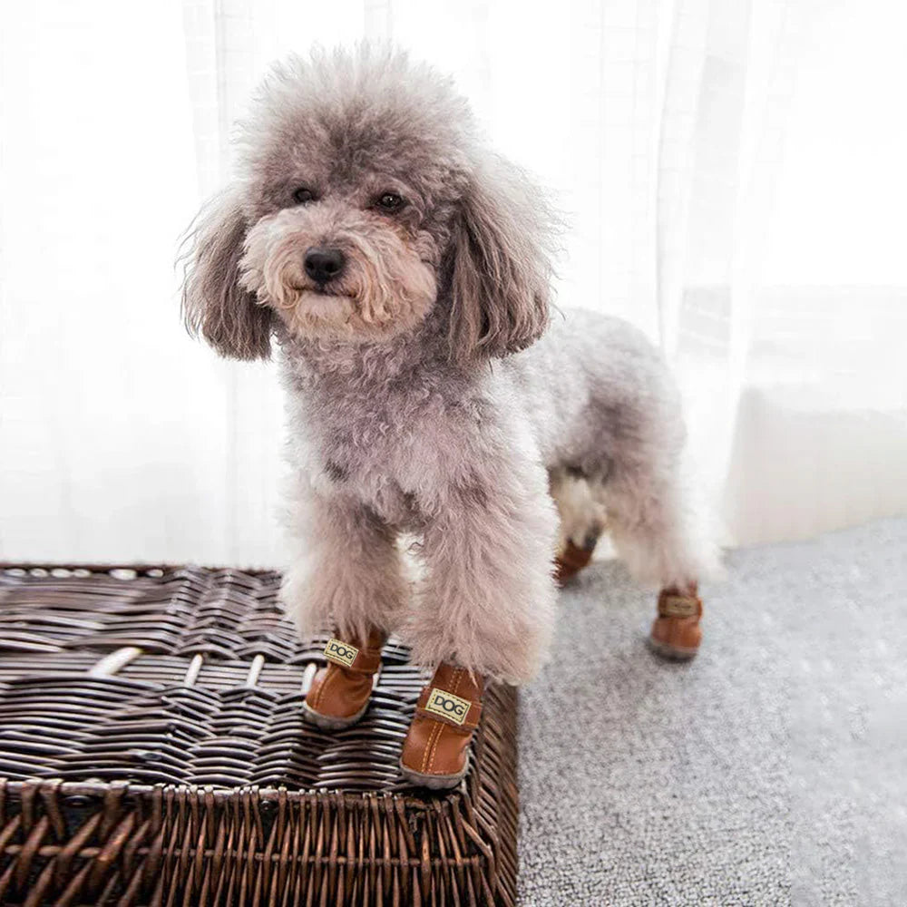 Warm Snow Boots for Dogs – FrostPaw