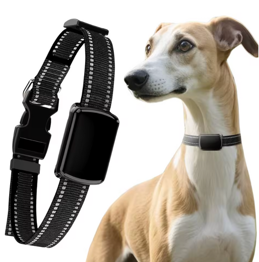 Smart collar - By Dog Supply