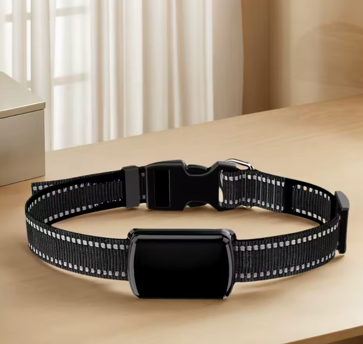 Smart collar - By Dog Supply