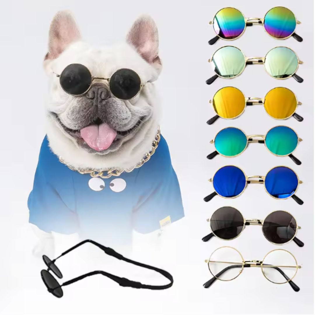 Chic Pet Sunglasses - Pawtique Shades