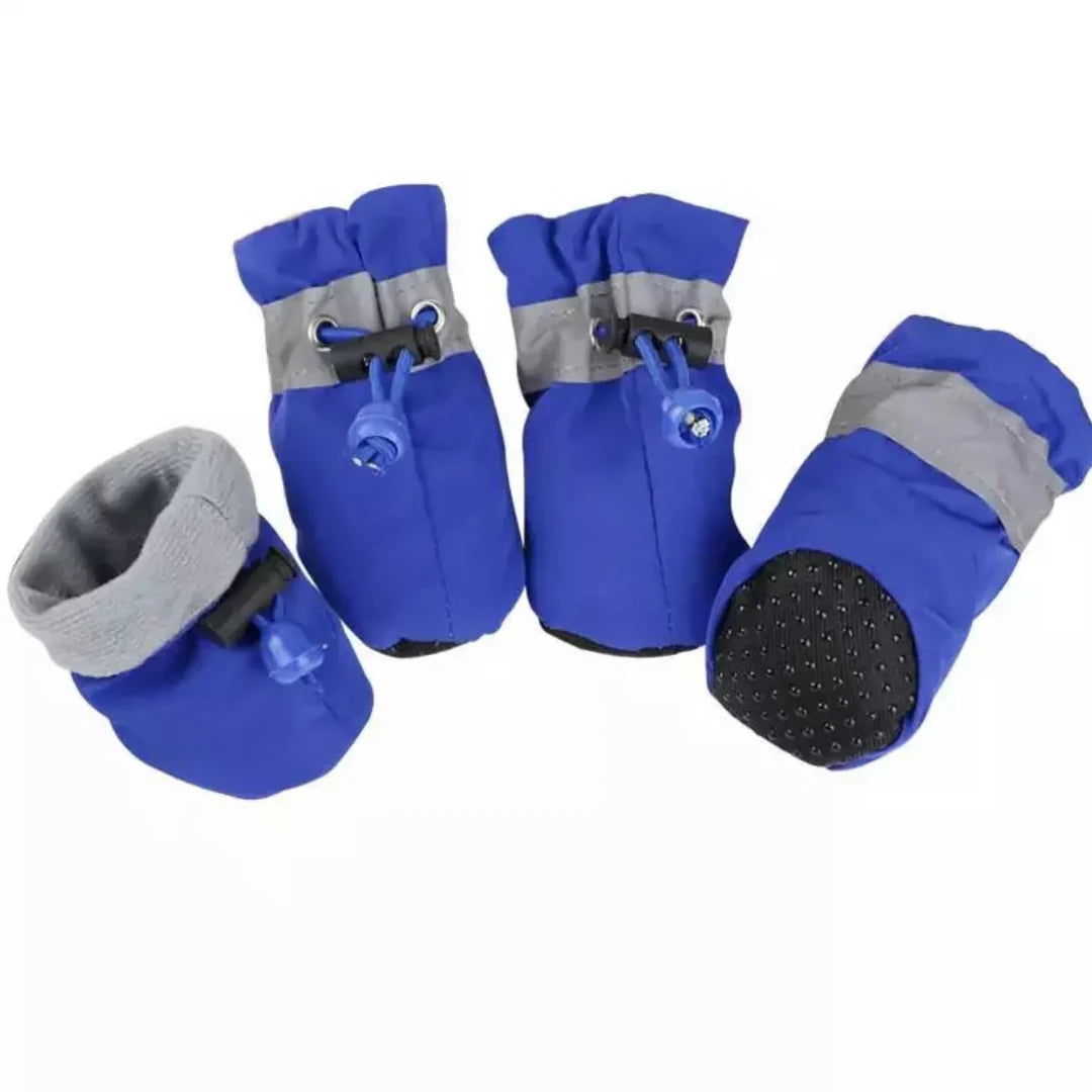 Winter Paw Protection – Paw Walks