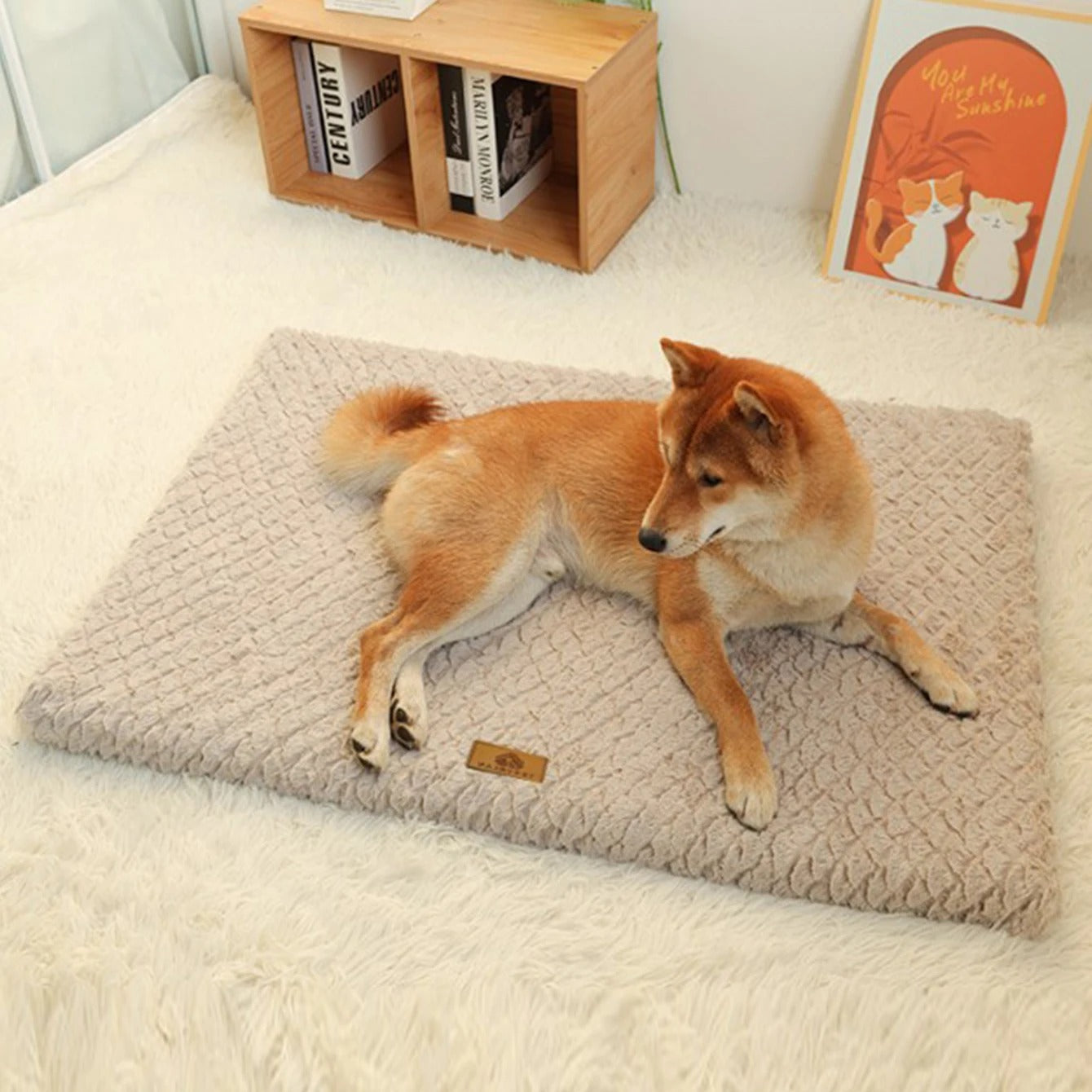 ComfyPaws Dog Mat