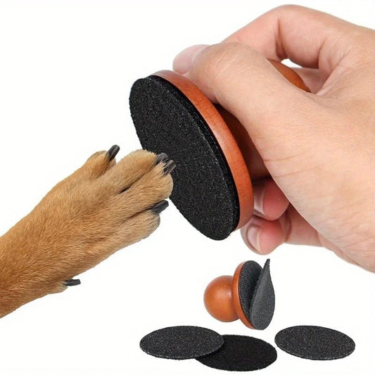 Paw Perfect Scratch & Groom