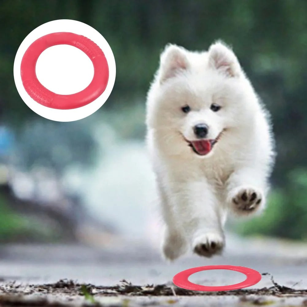 Floating Water Dog Toy Training Ring