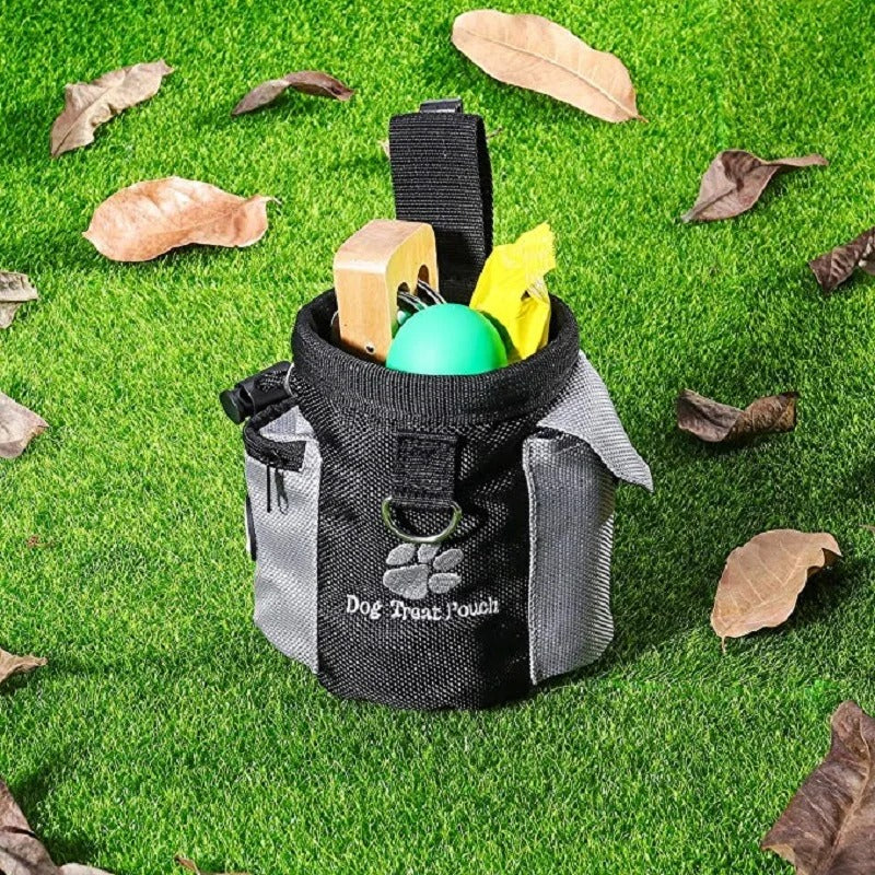 Portable Dog Treat Bag
