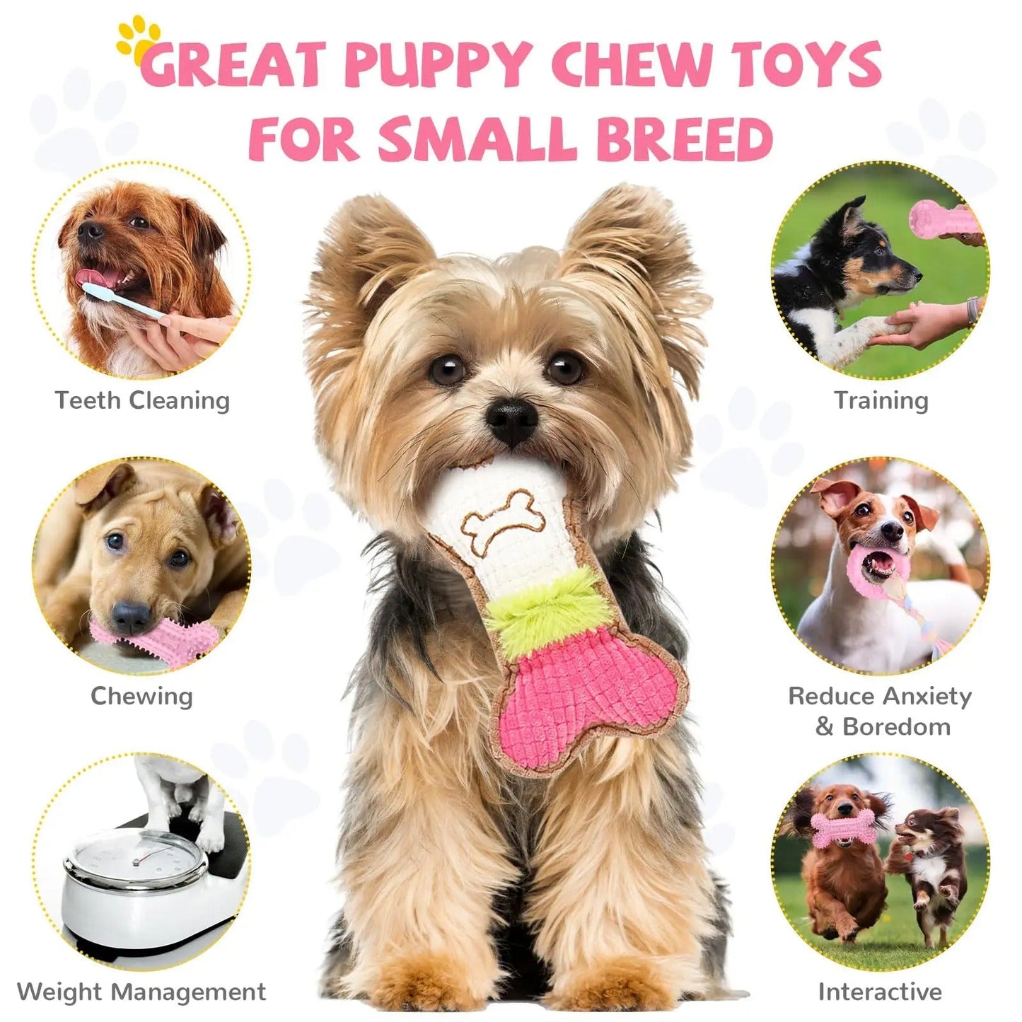 6pcs Set Puppy Bite Toys